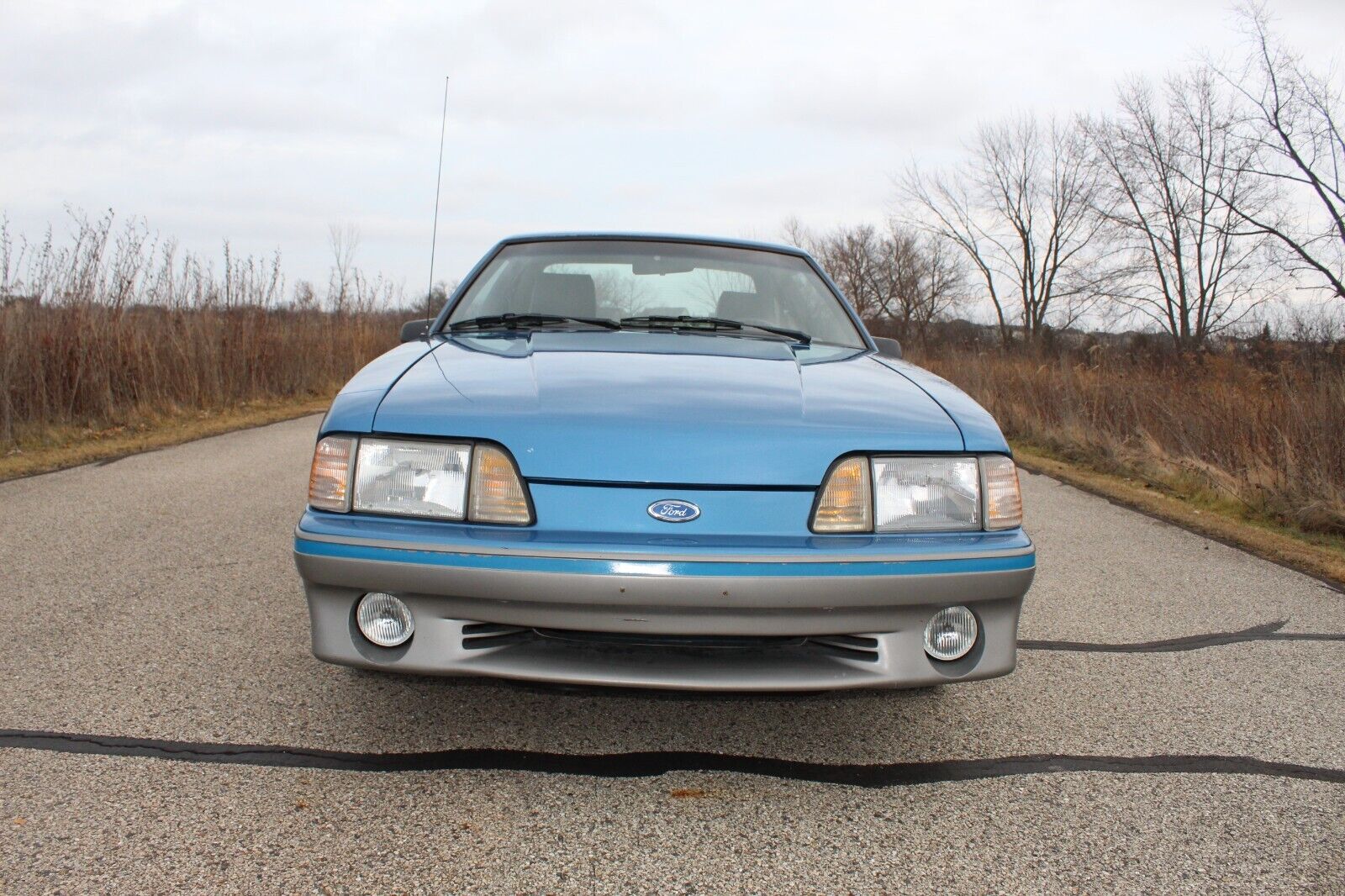 Ford-Mustang-Coupe-1989-Blue-188937-17