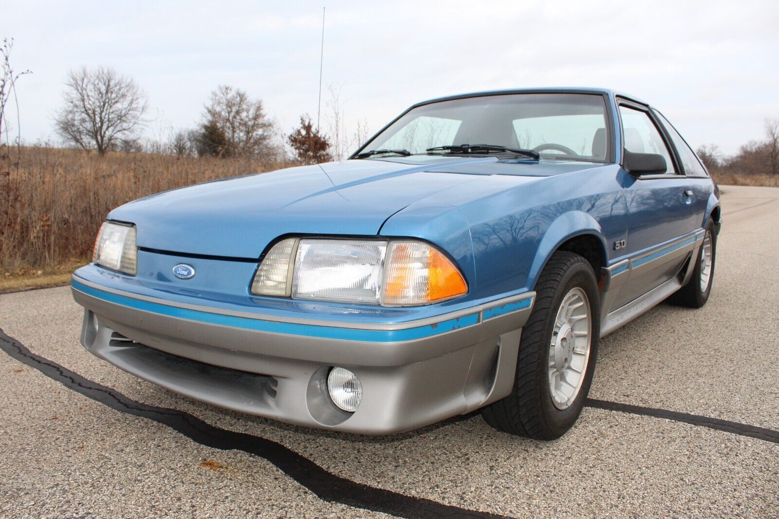 Ford-Mustang-Coupe-1989-Blue-188937-18