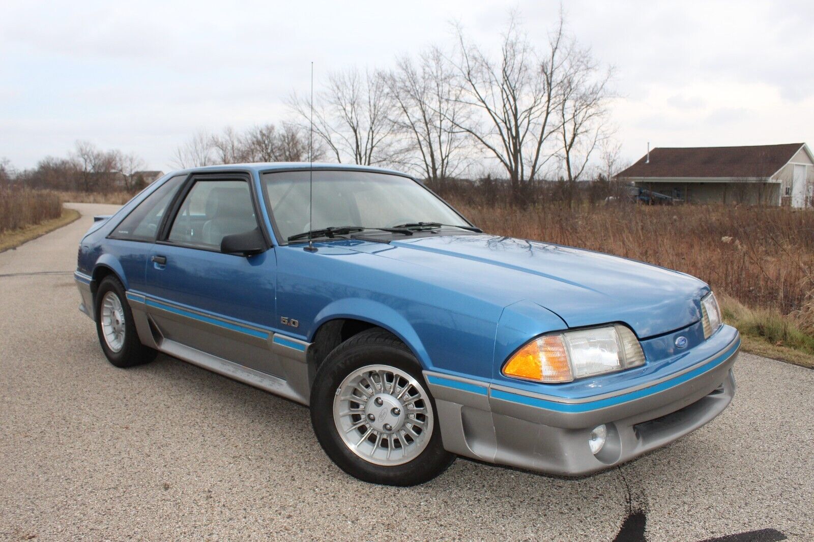 Ford-Mustang-Coupe-1989-Blue-188937-19