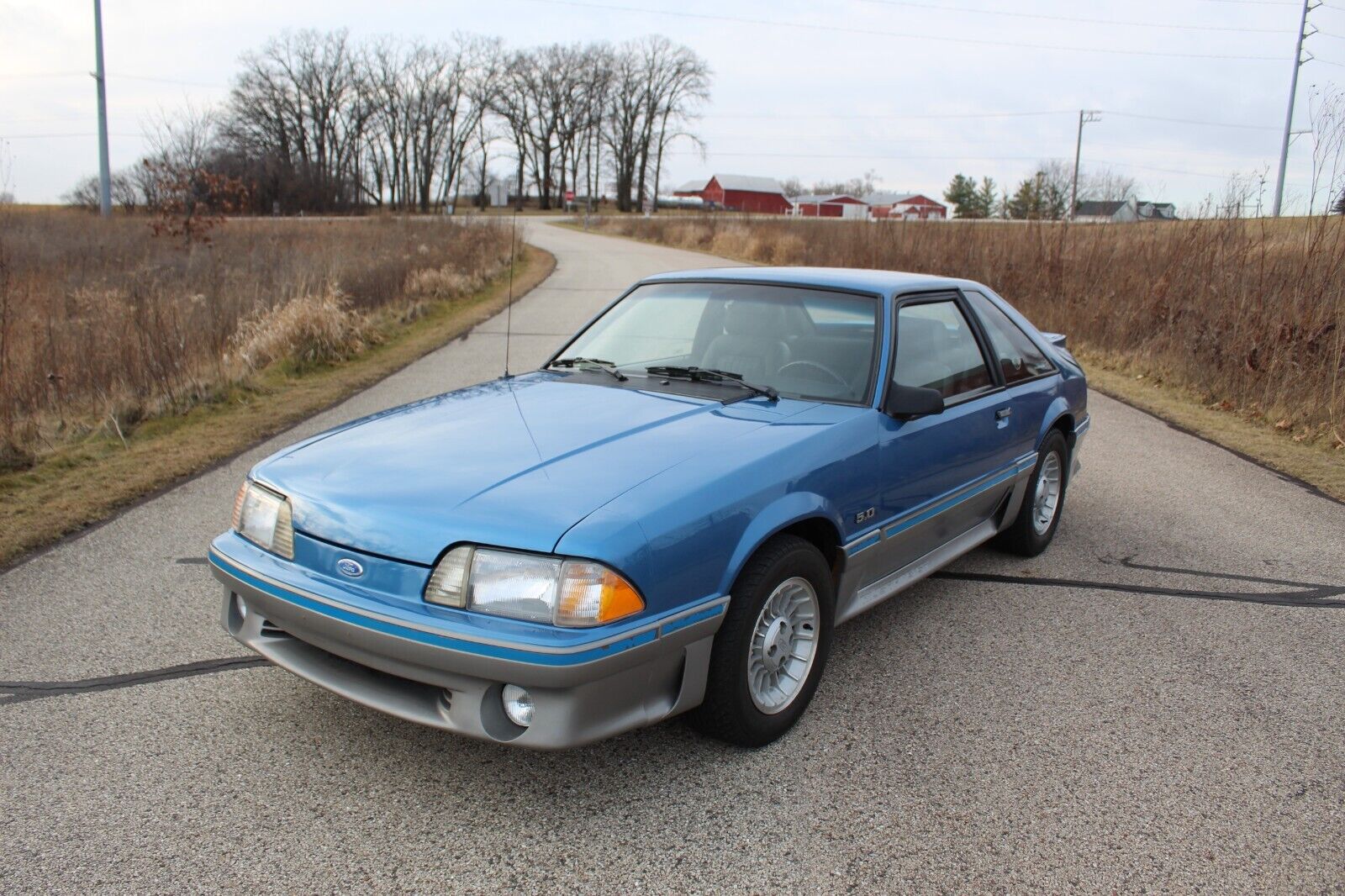 Ford-Mustang-Coupe-1989-Blue-188937-2