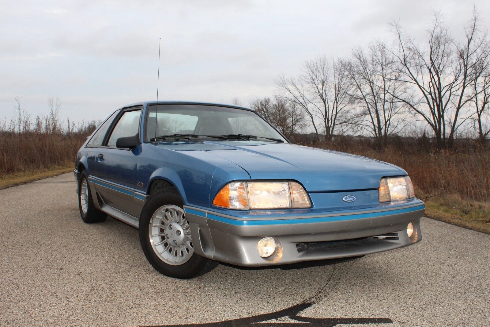 Ford-Mustang-Coupe-1989-Blue-188937-20