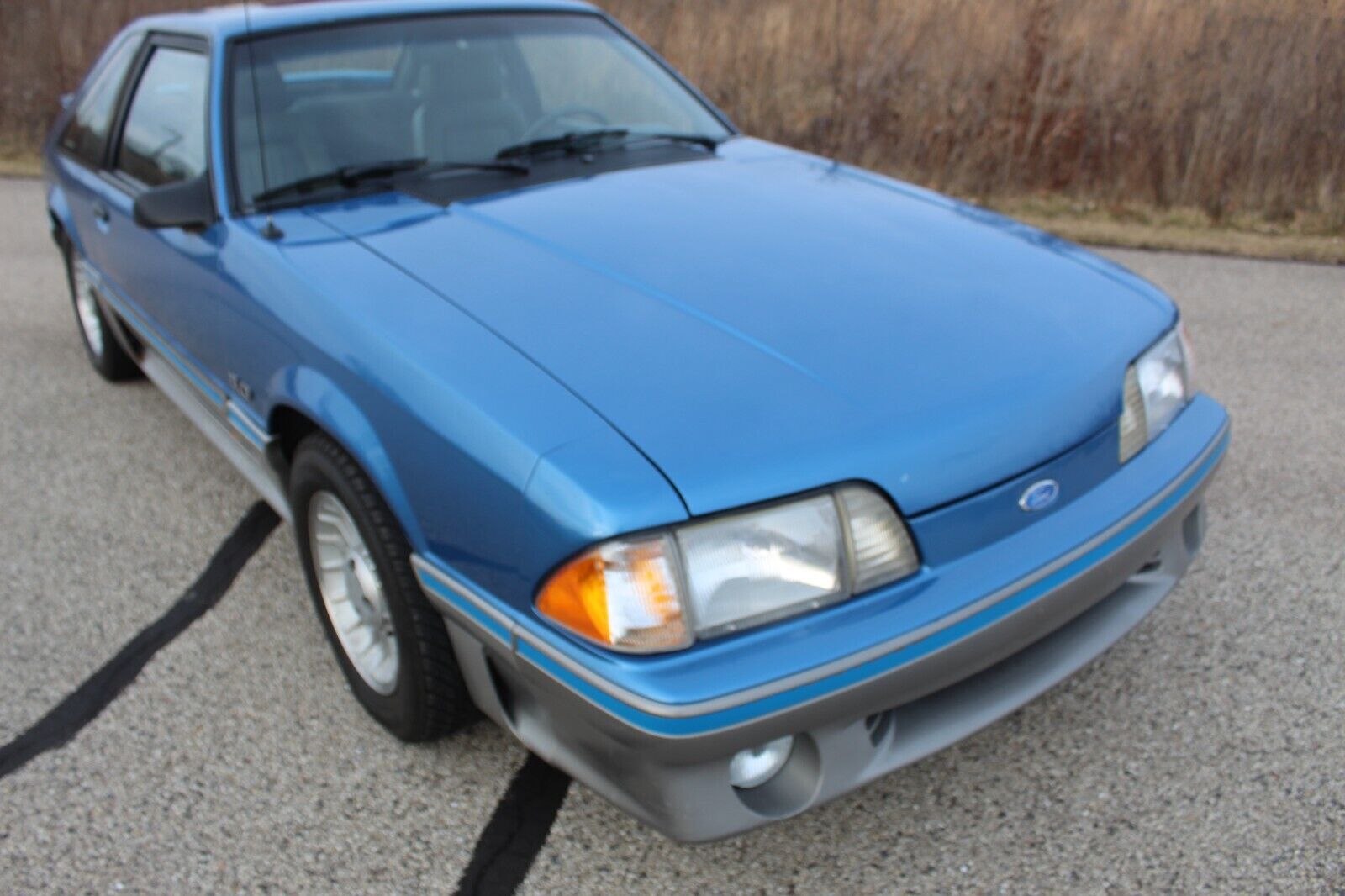 Ford-Mustang-Coupe-1989-Blue-188937-4