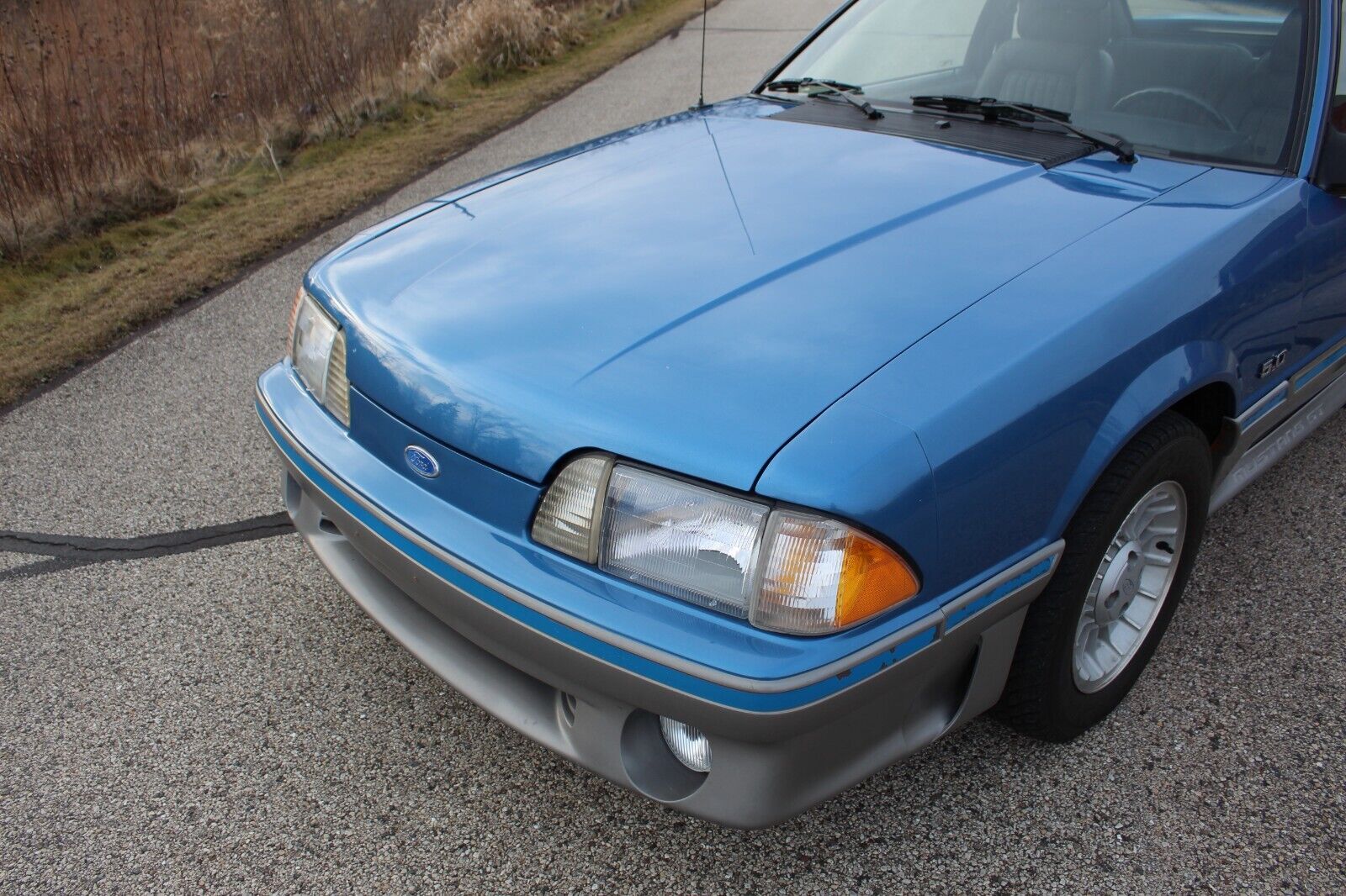 Ford-Mustang-Coupe-1989-Blue-188937-5