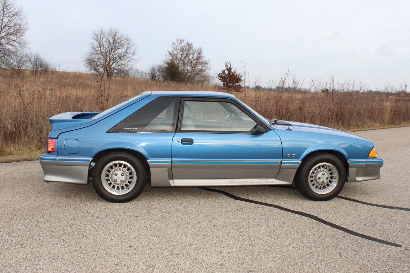 Ford-Mustang-Coupe-1989-Blue-188937-6