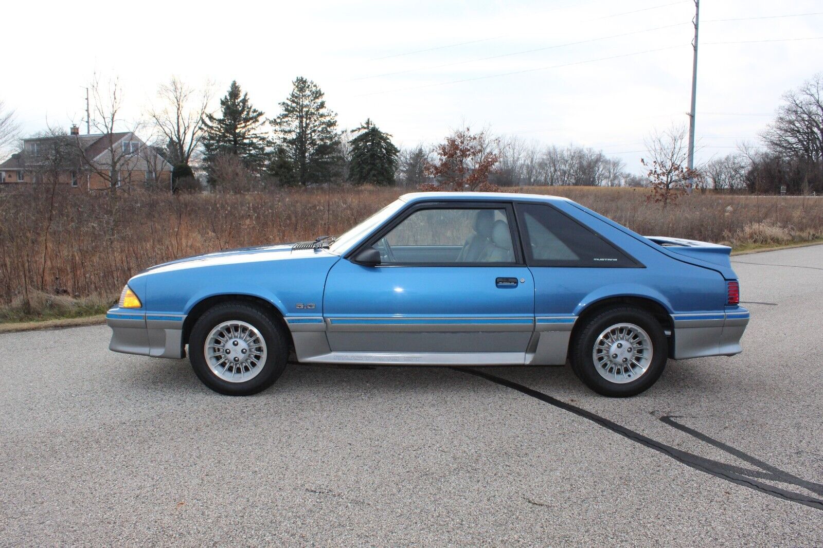 Ford-Mustang-Coupe-1989-Blue-188937-7