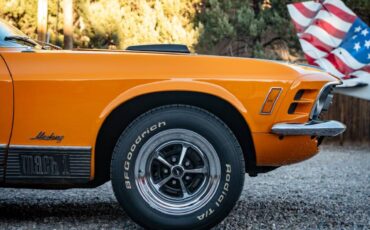 Ford-Mustang-mach-1-1970-orange-117482-8