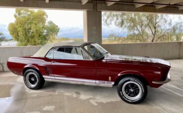 Ford-Mustang-shelby-gt500-1967-156106-13