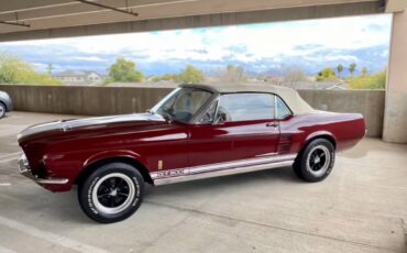 Ford-Mustang-shelby-gt500-1967-156106-9