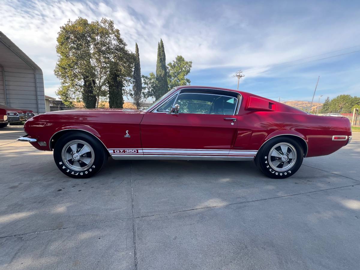 Ford-Shelby-gt350-1968-red-104607-1