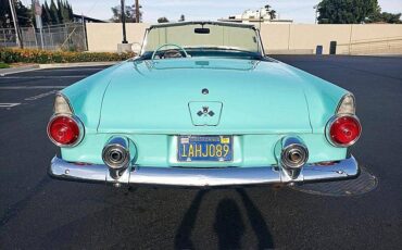 Ford-Tbird-1955-custom-88514-23