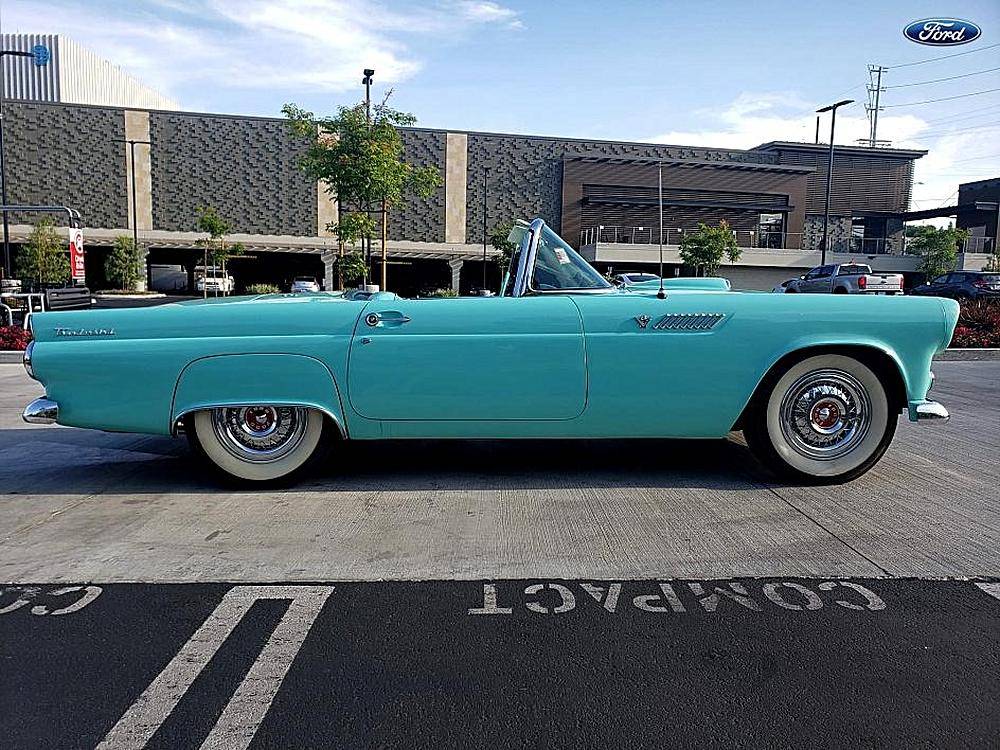 Ford-Tbird-1955-custom-88514-6