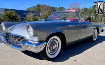 Ford-Thunderbird-1957-Gray-Red-107804-2