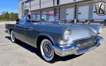 Ford-Thunderbird-1957-Gray-Red-107804-8