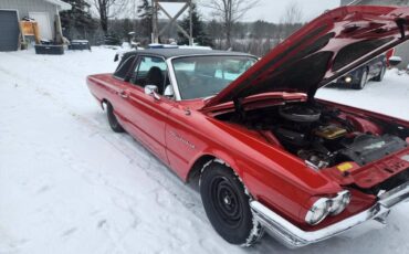 Ford-Thunderbird-1964-red-207605-6