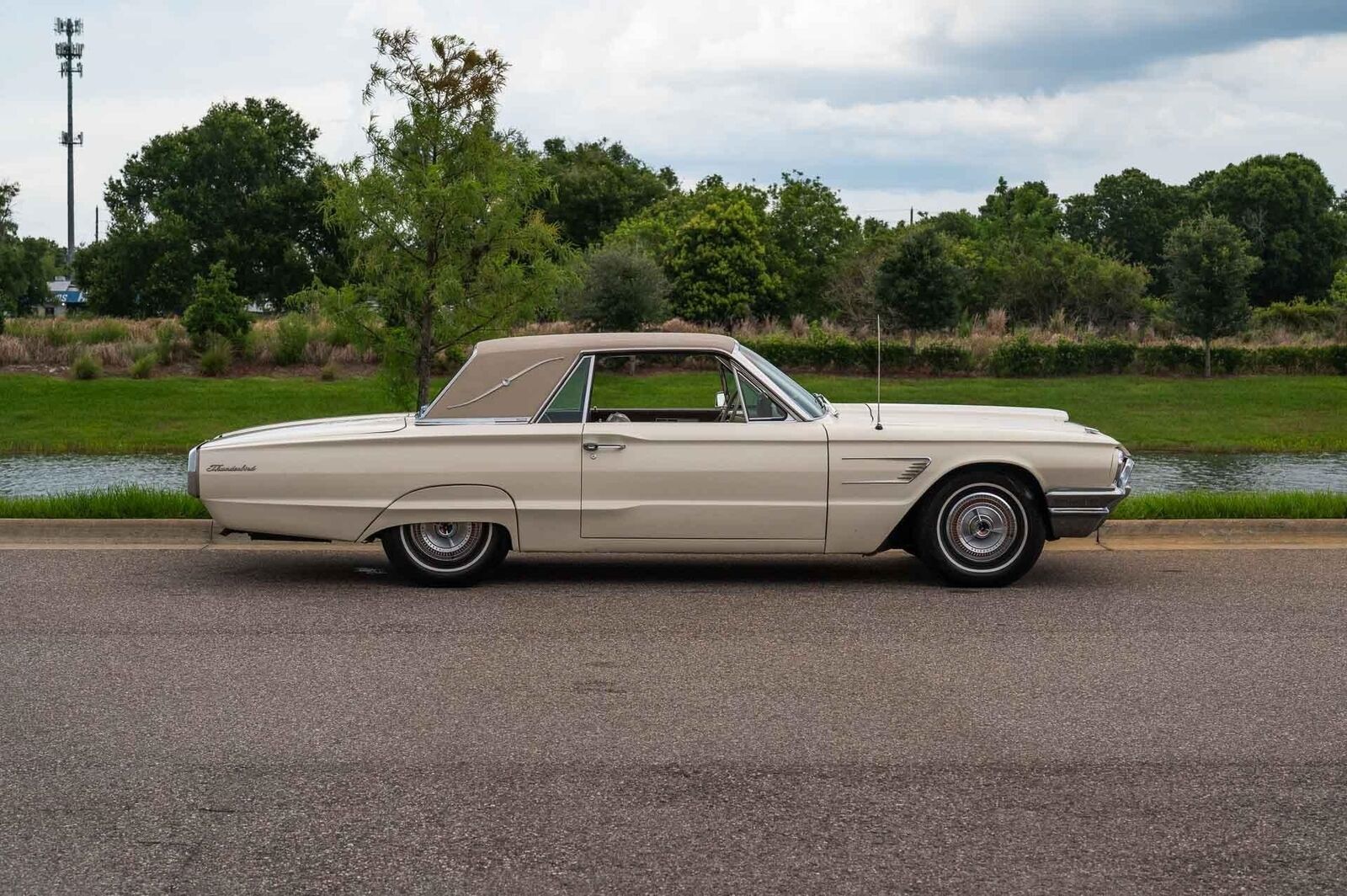 Ford-Thunderbird-1965-White-Ivory-91705-6