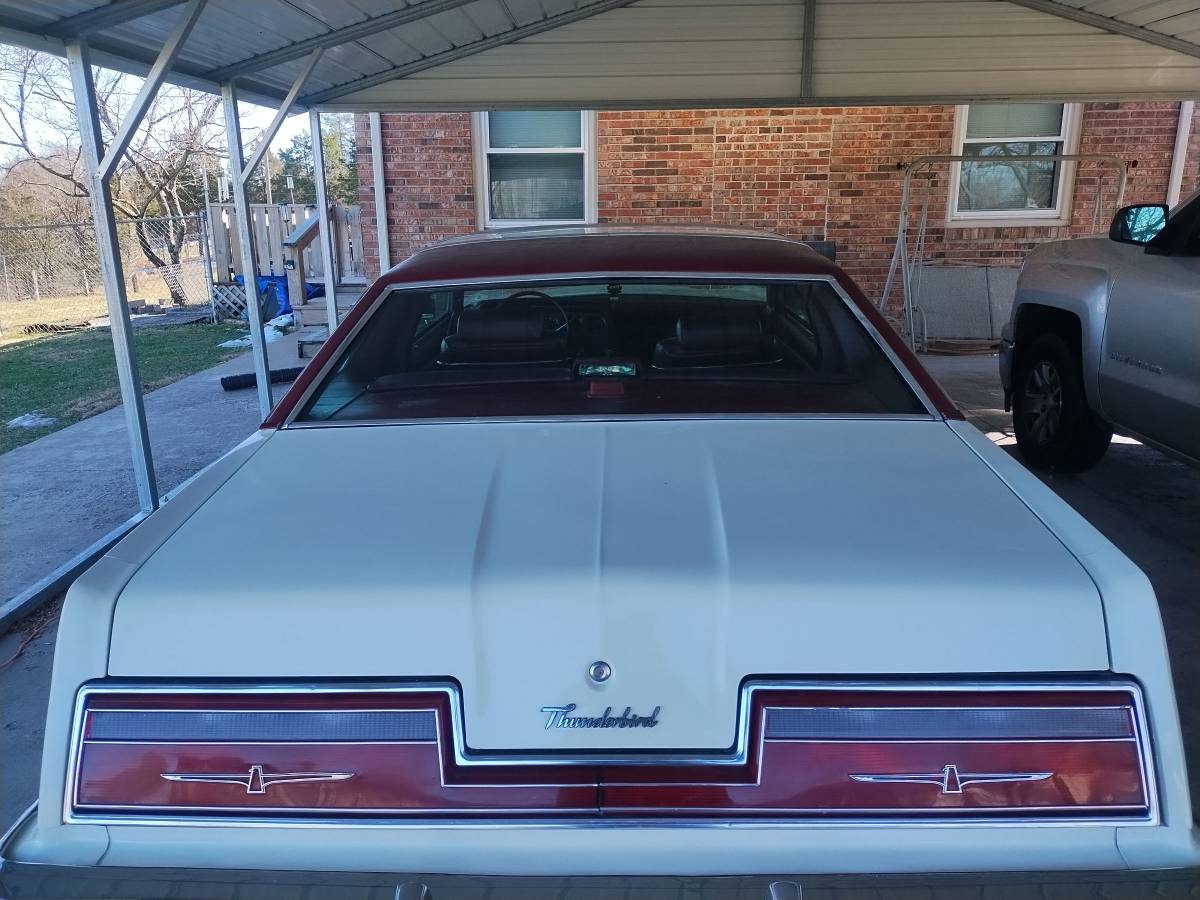 Ford-Thunderbird-1977-white-111044-3