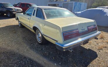 Ford-Thunderbird-1977-yellow-85295-1