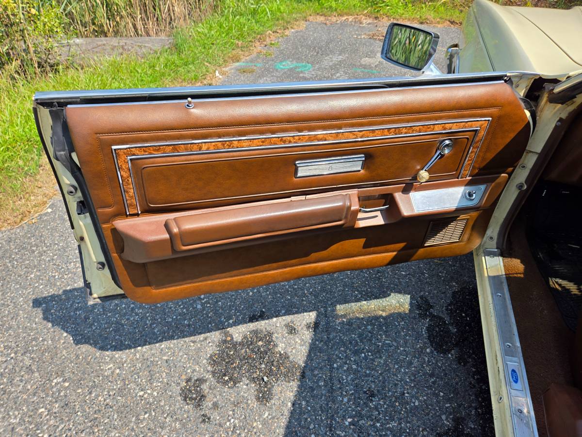 Ford-Thunderbird-1977-yellow-85295-11