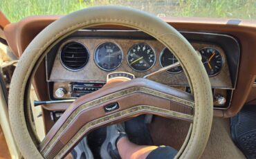 Ford-Thunderbird-1977-yellow-85295-17