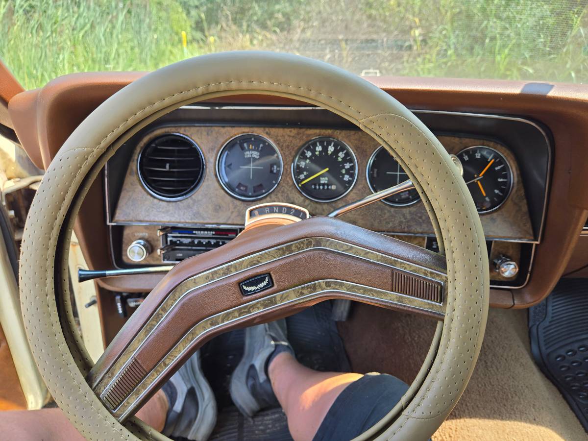 Ford-Thunderbird-1977-yellow-85295-17