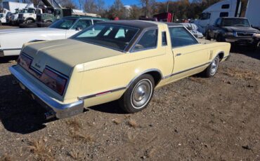 Ford-Thunderbird-1977-yellow-85295