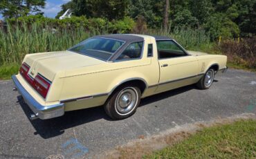 Ford-Thunderbird-1977-yellow-85295-8