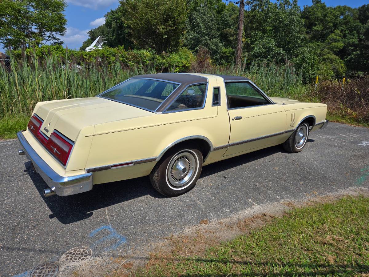 Ford-Thunderbird-1977-yellow-85295-8