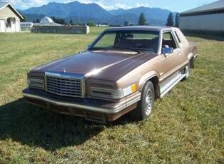 Ford-Thunderbird-1981-brown-193121-1