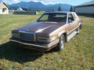 Ford-Thunderbird-1981-brown-193121-1