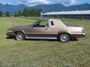 Ford-Thunderbird-1981-brown-193121-2