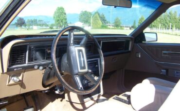 Ford-Thunderbird-1981-brown-193121-3