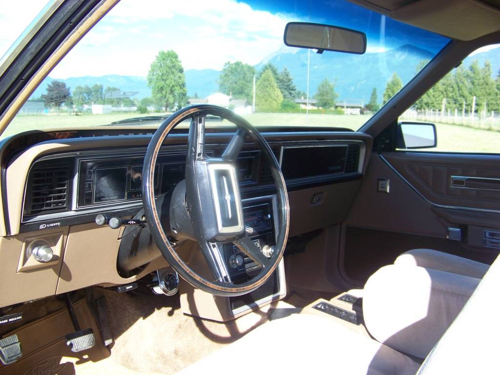 Ford-Thunderbird-1981-brown-193121-3