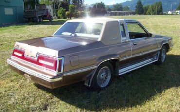 Ford-Thunderbird-1981-brown-193121