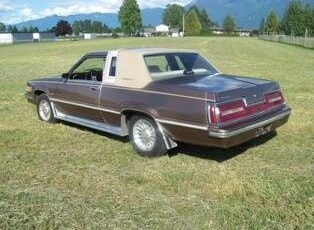 Ford-Thunderbird-1981-brown-193121-5