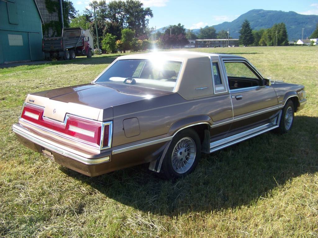 Ford-Thunderbird-1981-brown-193121