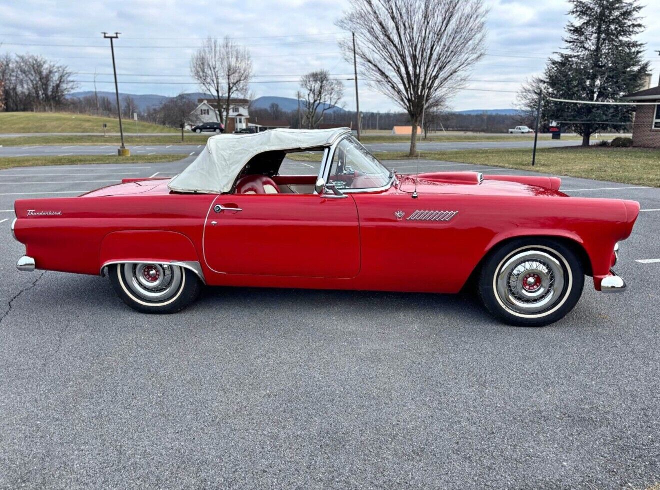 Ford Thunderbird Cabriolet 1955 à vendre