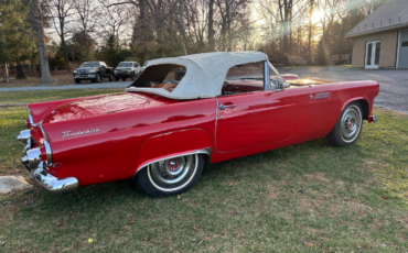 Ford-Thunderbird-Cabriolet-1955-Red-Red-23818-2