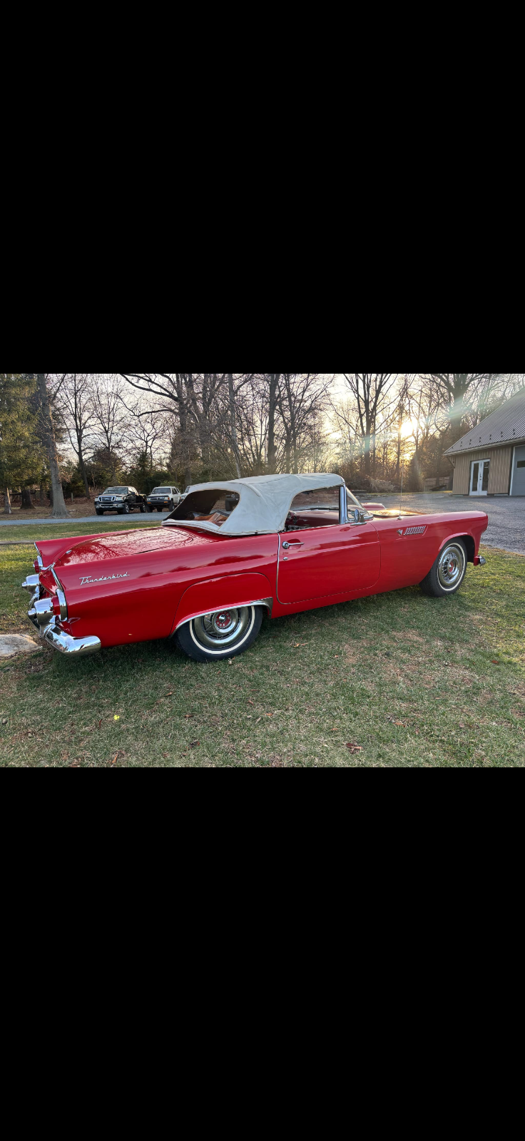 Ford-Thunderbird-Cabriolet-1955-Red-Red-23818-2