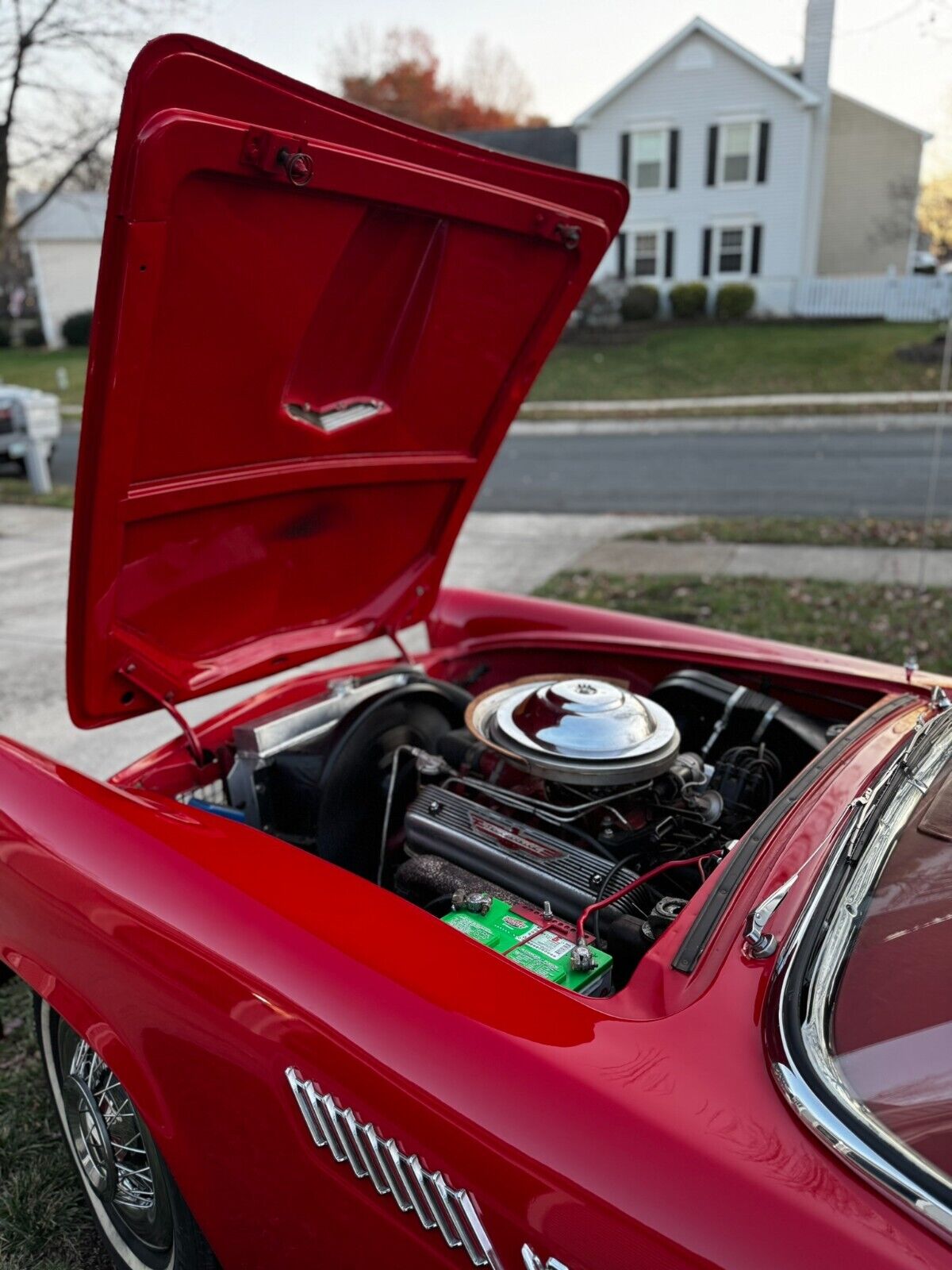 Ford-Thunderbird-Cabriolet-1955-Red-Red-23818-23