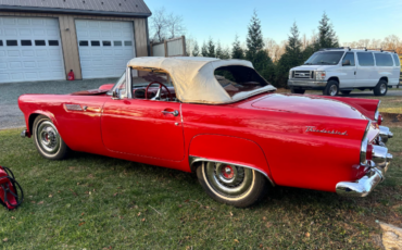 Ford-Thunderbird-Cabriolet-1955-Red-Red-23818-3