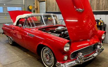 Ford-Thunderbird-Cabriolet-1955-Red-Red-23818-38