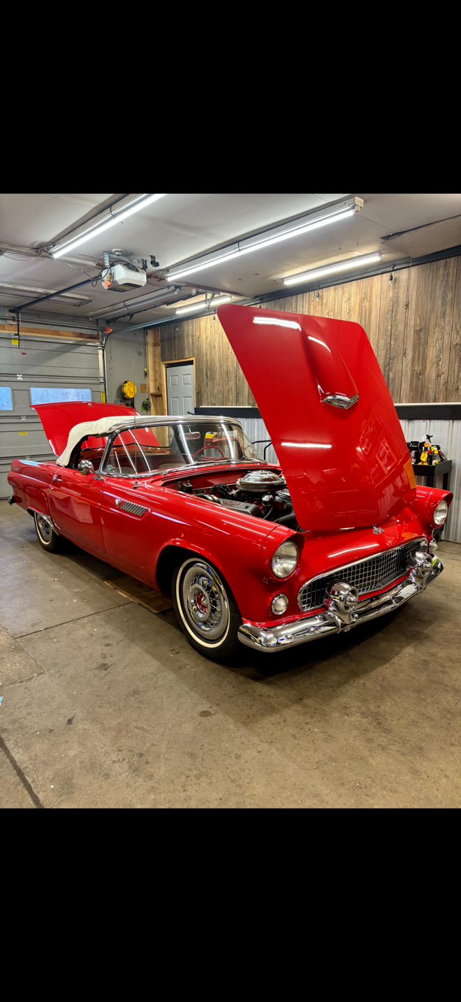 Ford-Thunderbird-Cabriolet-1955-Red-Red-23818-38