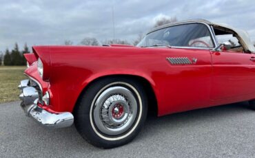 Ford-Thunderbird-Cabriolet-1955-Red-Red-23818-7