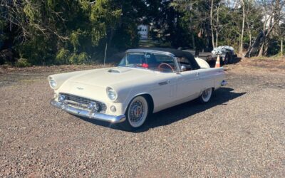 Ford Thunderbird Cabriolet 1956 à vendre