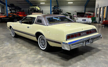 Ford-Thunderbird-Cabriolet-1976-5