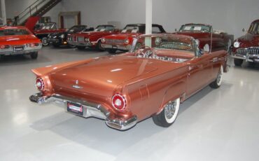 Ford-Thunderbird-E-Code-Convertible-Cabriolet-1957-Thunderbird-Bronze-Bronze-18570-16