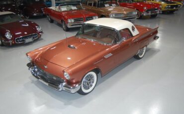 Ford-Thunderbird-E-Code-Convertible-Cabriolet-1957-Thunderbird-Bronze-Bronze-18570-20