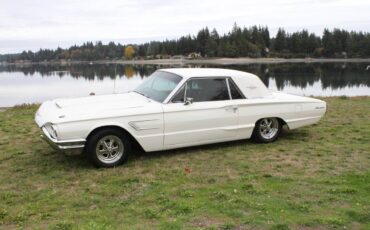 Ford-Thunderbird-coupe-1965-1