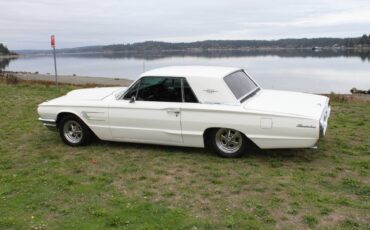 Ford-Thunderbird-coupe-1965-2