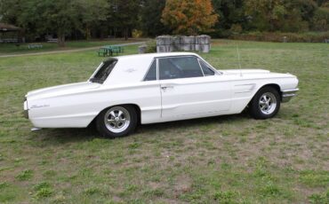 Ford-Thunderbird-coupe-1965-4